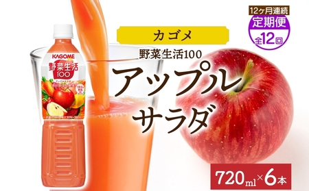 [定期便]12ヵ月連続野菜生活100 アップルサラダ 720mlPET ns038-073 飲料 カゴメ フルｰツジュｰス セット ミックスジュｰス