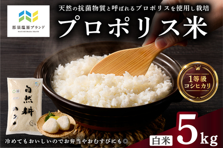 [那須塩原ブランド認定品]プロポリス米(1等級コシヒカリ 白米5kg)[令和7年度産米]ns063-002 お米 プロポリス 米 白米 食品 真空パック 国産 コシヒカリ