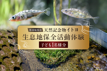 那須塩原市天然記念物イトヨ 採捕・生息地保全活動体験[子ども1名様分] ns056-004