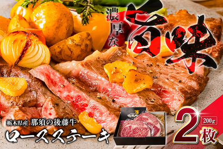 栃木県産那須の後藤牛ロースステーキ200g×2枚(400g) ns044-006 牛肉
