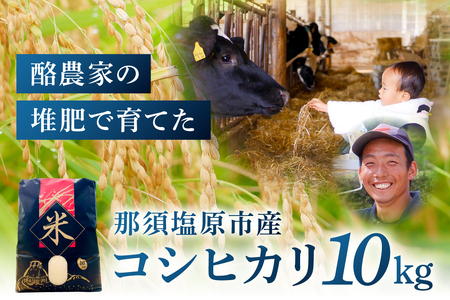 那須塩原市産コシヒカリ 10キロ [ns130-001]