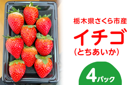 [数量限定][先行予約]さくら市産イチゴ(とちあいか)290g×4パック[先行予約 栃木県 果物 くだもの フルーツ 苺 いちご] ※2024年12月下旬〜2025年3月下旬頃に順次発送予定