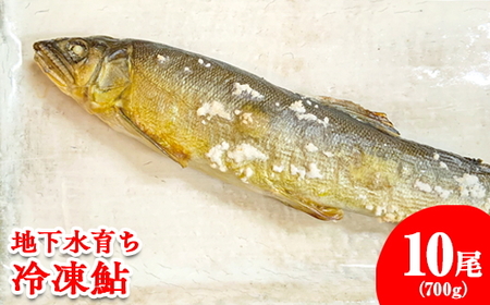 地下水育ち 冷凍鮎10尾
