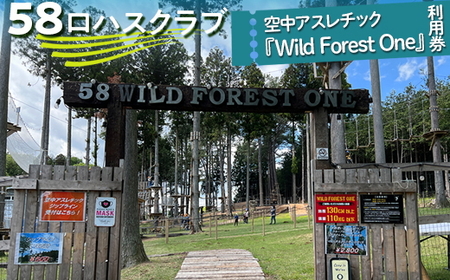 58nXNu@󒆃AX`bNwWild Forest Onexp