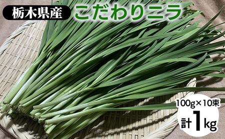 栃木県産こだわりニラ100g×10束 | さくら市 にら 韮 野菜 国産