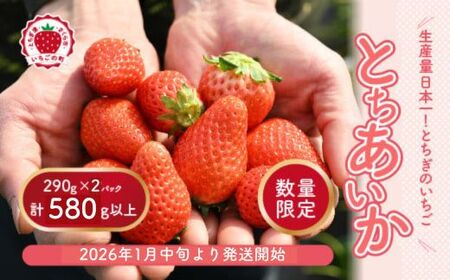 [先行予約]いちご 厳選!さくら市産 とちあいか(290g×2パック) ※2026年1月中旬〜3月下旬頃に順次発送予定