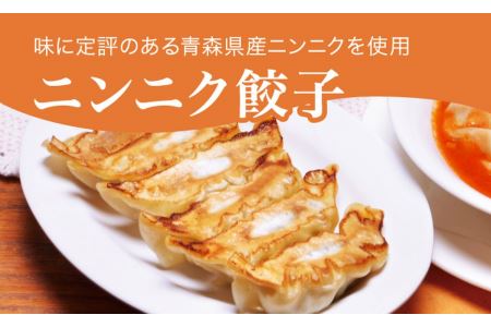 「宇都宮餃子館」ニンニク餃子 960g(48個)≪冷凍餃子 冷凍食品 ギョーザ グルメ 食品 惣菜 中華惣菜 点心 中華≫◇