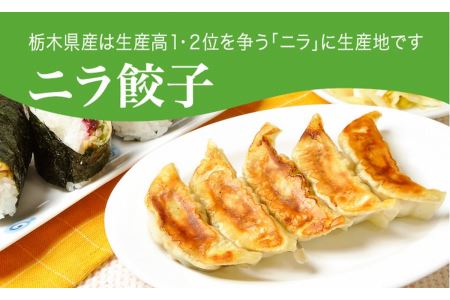 「宇都宮餃子館」ニラ餃子 960g(48個)≪ギョーザ 冷凍餃子 冷凍食品 グルメ 食品 惣菜 中華惣菜 点心 中華≫◇