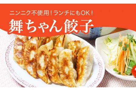 「宇都宮餃子館」舞ちゃん餃子 960g(48個)≪ギョーザ 冷凍餃子 冷凍食品 グルメ 食品 惣菜 中華惣菜 点心 中華≫◇