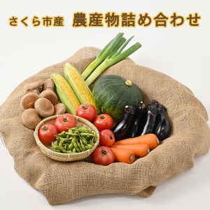 さくら市産の農産物詰め合わせ [道の駅きつれがわ]≪野菜 新鮮 国産 栃木県≫◇