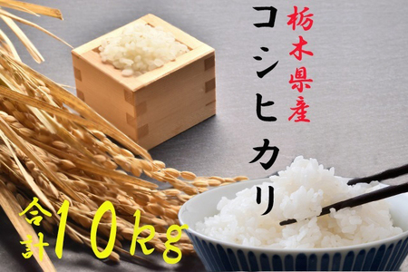 [9月改定][令和6年度産新米]栃木県さくら市産コシヒカリ精米10kg(精米5kg×2袋)|お米 ご飯 美味しい 産地直送 おうちごはん 白米 新米 自宅用 ※2024年10月上旬〜2025年4月下旬頃に順次発送予定