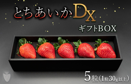 [先行予約][数量限定]とちあいかDX ギフトBOX(5粒)|いちご イチゴ 苺 ※2024年11月上旬頃より順次発送予定