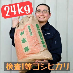 栃木県産 コシヒカリ 玄米24kg[検査1等米]