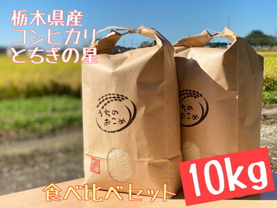 栃木県産 コシヒカリ5kg・とちぎの星5kg[白米食べ比べセット]