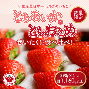 新旧2種食べ比べセット(とちおとめ、とちあいか)290g×4パック 1.16kg以上|先行予約 数量限定 栃木県 果物 くだもの フルーツ 苺 イチゴ ※2025年1月上旬〜4月中旬頃に順次発送予定