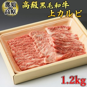 ߐ{aJr1.2kg   јa O Ȗ، ws