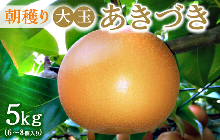 朝穫り 大玉[あきづき]5kg 6個〜8個入り[9月15日受付終了] 梨 なし フルーツ 果物 数量限定 ※2025年9月中旬〜9月下旬頃に順次発送予定 ※離島・沖縄への配送不可