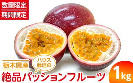 [数量限定][期間限定]栃木県産ハウス栽培の絶品パッションフルーツ1kg ◇南国フルーツ◇ ※2025年6月下旬頃より順次発送予定