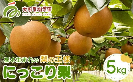 14-3 栃木県那須烏山市産大野果樹農園のにっこり梨  ｜ 先行予約 なし 梨 にっこり 果物 くだもの フルーツ ナシ 栃木県 ※2025年10月上旬～10月下旬頃に順次発送予定 ※北海道・沖縄・離島への配送不可