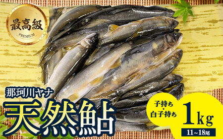 最高級 那珂川の天然あゆ1kg(子持ち・白子持ち)