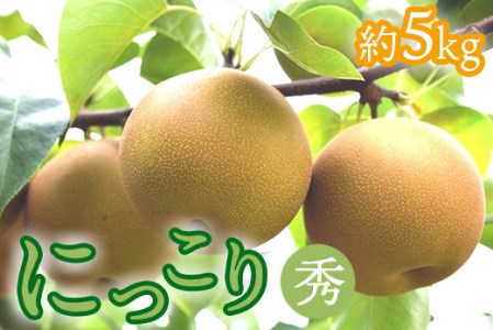 14-8[期間限定]梨(にっこり)秀 約5kg(7玉程度) | なし フルーツ 果物 新鮮 デザート ※2025年10月中旬頃より順次発送予定