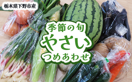 下野市産 季節の旬野菜詰め合わせ 