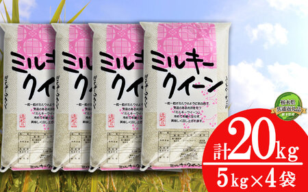 ミルキークイーン20kg(5kg×4袋) | 白米 精米 お米 ブランド米 栃木県 栃木県共通返礼品 栃木県産 特産品 下野市 送料無料