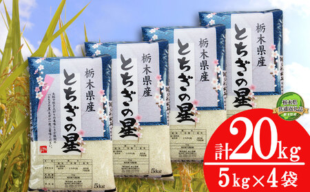 献上米 特A賞を受賞！とちぎの星20kg（5kg×4袋） | 白米 精米 お米
