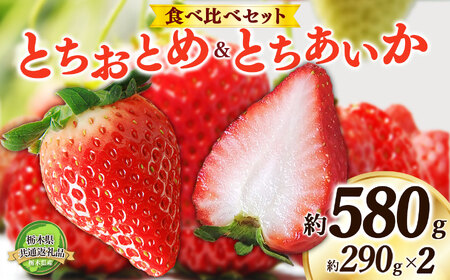 [2025年先行予約]日本一のいちご生産量を誇るJAはが野が厳選 とちおとめ、とちあいか食べ比べ平パック2P | 栃木県 下野市 送料無料