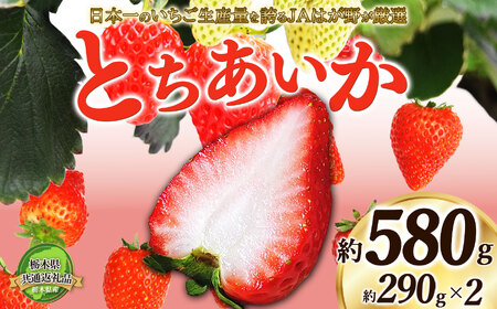 [2025年先行予約]日本一のいちご生産量を誇るJAはが野が厳選 とちあいか平パック2P