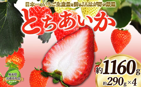 [2025年先行予約]日本一のいちご生産量を誇るJAはが野が厳選 とちあいか平パック4P