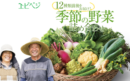 下野市産 エビベジ季節の野菜詰め合わせ（大）  | 野菜 詰め合わせ セット 新鮮 栃木県 特産品 下野市 しもつけ市
