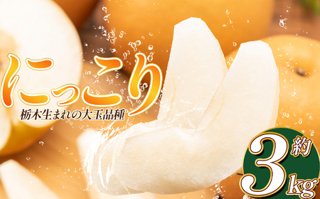 [2025年秋先行予約] にっこり 3kg | 送料無料 栃木県 下野市 梨 幸水 果物 フルーツ デザート
