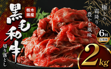 y6zȖ،Y јa ؂藎Ƃ 2.0kg |  a  ē Ƃ낯 ~ Ԑg ؂藎Ƃ ӂ邳 [ C`IV  Ȗ، s s