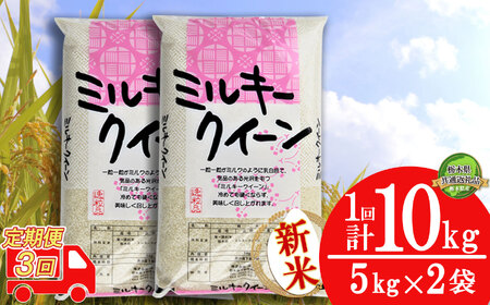 [定期便3回]令和6年度 新米 ミルキークイーン10kg(5kg×2袋) | 白米 精米 お米 ブランド米 栃木県 栃木県共通返礼品 栃木県産 特産品 下野市 送料無料