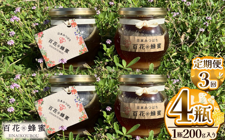 [定期便3回]日本蜜蜂の百花蜂蜜(4瓶)|ハチミツ はちみつ みつばち 栃木県 下野市