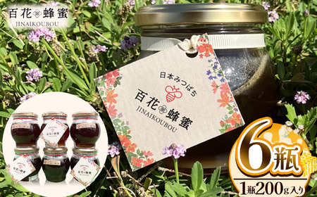 日本蜜蜂の百花蜂蜜(6瓶)|ハチミツ はちみつ みつばち 栃木県 下野市