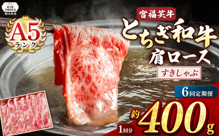 yȖ،ʕԗizy6z{΋(Ƃa) A5 [X 400g  | Ȗ، s