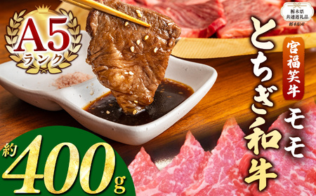 [栃木県共通返礼品]宮福笑牛(とちぎ和牛) A5 モモ焼き肉 約400g | 黒毛 和牛 牛肉 焼肉 とろける 霜降り 赤身 切り落とし ふるさと 納税 イチオシ おすすめ 栃木県 下野市 しもつけ市