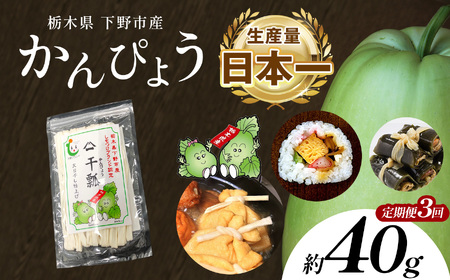 [定期便3回]下野ブランド 下野市産かんぴょう 約40g×1袋 | 定期便 かんぴょう かんぴょう生産日本一 干瓢 野菜 乾物 栃木県 下野市 特産品