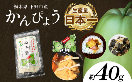 [ふるさと納税]下野ブランド 下野市産かんぴょう 約40g×1袋 | 干瓢 野菜 乾物 栃木県 特産品