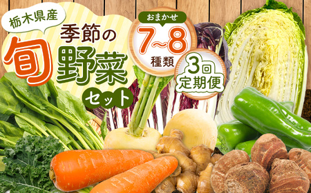 [定期便3回]季節の旬野菜おまかせセット | 定期便 農薬不使用 化学肥料不使用 珍しい 栃木県 下野市
