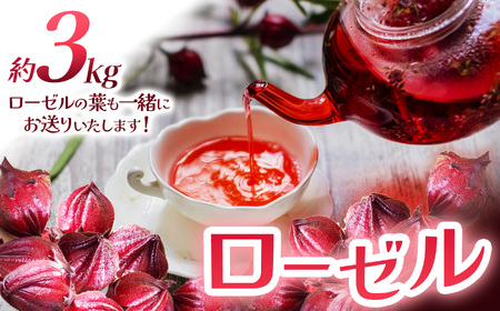 [[ ([[̗t) 3kg | Ȗ، s