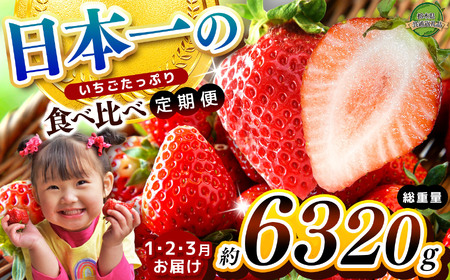 [栃木県共通返礼品][定期便3回][先行予約]日本一のいちごたっぷり食べ比べ定期便| 定期便 とちあいか 送料無料 いちご フルーツ 甘い ジューシー かき氷 苺 イチゴ ハート ハート型 ハｰト 断面 果物 栃木県 下野市