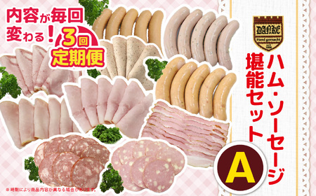 [定期便3回]ハム・ソーセージ堪能セットA | 肉 豚肉 豚 加工 加工肉 ハム ソーセージ ギフト セット 手作り 低添加 栃木県 特産品