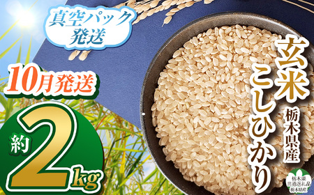 [栃木県共通返礼品][先行予約][数量限定][10月発送]毎月500個限定!令和7年度新米 栃木県産こしひかり(玄米真空パック)2kg | ふるさと納税 お米 米 精米 白米 玄米 大粒 お買い得 送料無料 下野市