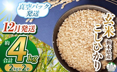 [栃木県共通返礼品][先行予約][数量限定][12月発送]毎月500個限定!令和7年度新米 栃木県産こしひかり(玄米真空パック)2kg×2 | ふるさと納税 お米 米 精米 白米 玄米 大粒 お買い得 送料無料 下野市
