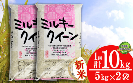 [栃木県共通返礼品][先行予約]ミルキークイーン 10kg(5kg×2袋) 