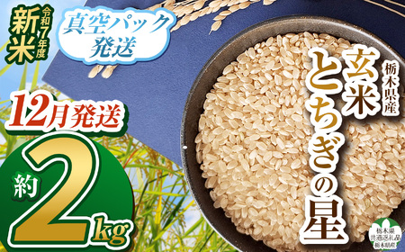 【栃木県共通返礼品】【先行予約】【12月発送】令和7年度新米 栃木県産とちぎの星 2kg | 玄米 精米 お米 コメ とちぎの星 先行予約 ブランド米 栃木県 特産品  下野市 送料無料