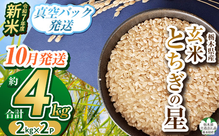 【栃木県共通返礼品】【先行予約】【10月発送】令和7年度新米 栃木県産とちぎの星 2kg×2 | 玄米 精米 お米 コメ とちぎの星 先行予約 ブランド米 栃木県 特産品  下野市 送料無料